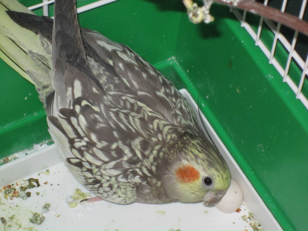 Настя Бурдина | Москва