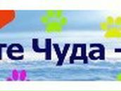 Вика Кузмич | Санкт-Петербург