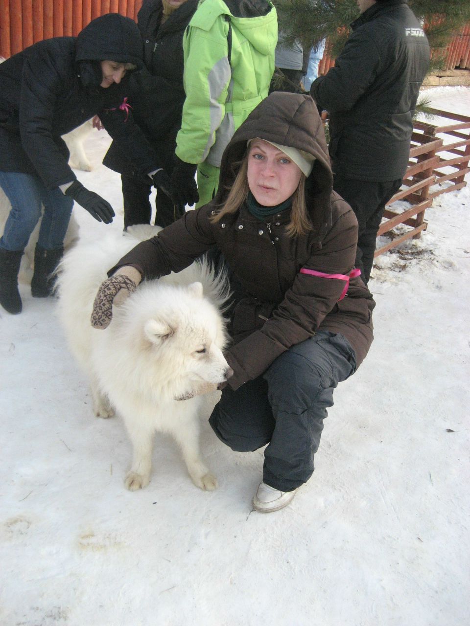 Елена Самаруха | 