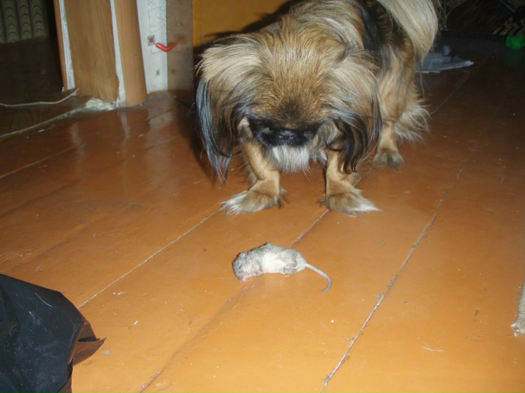 Галина Булачек | Магнитогорск