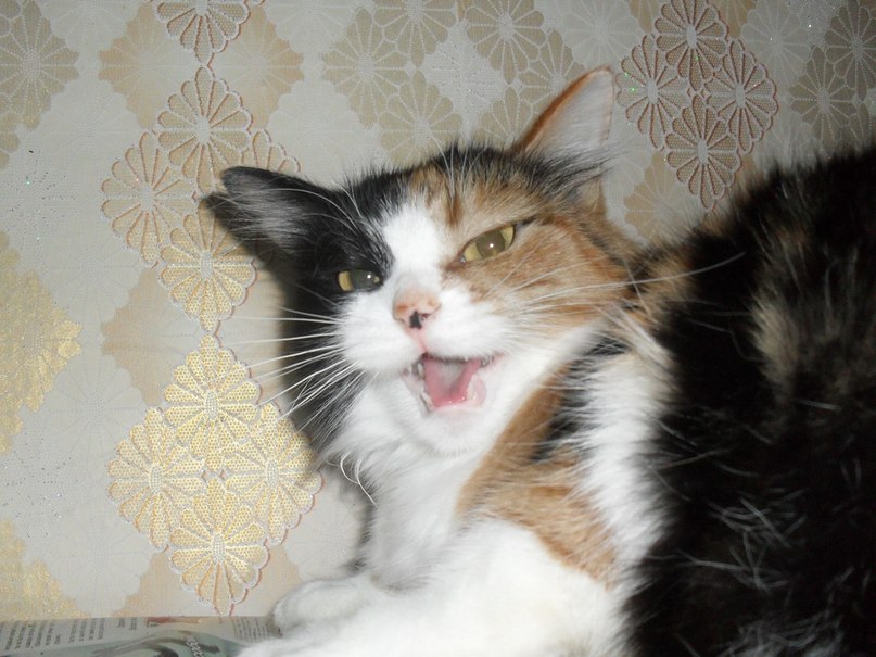 Женя Котов | Санкт-Петербург