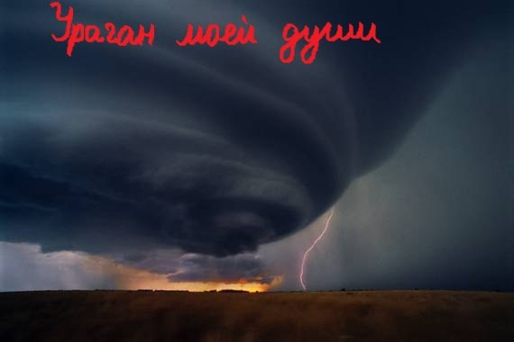 Иришкин Гусева | Москва