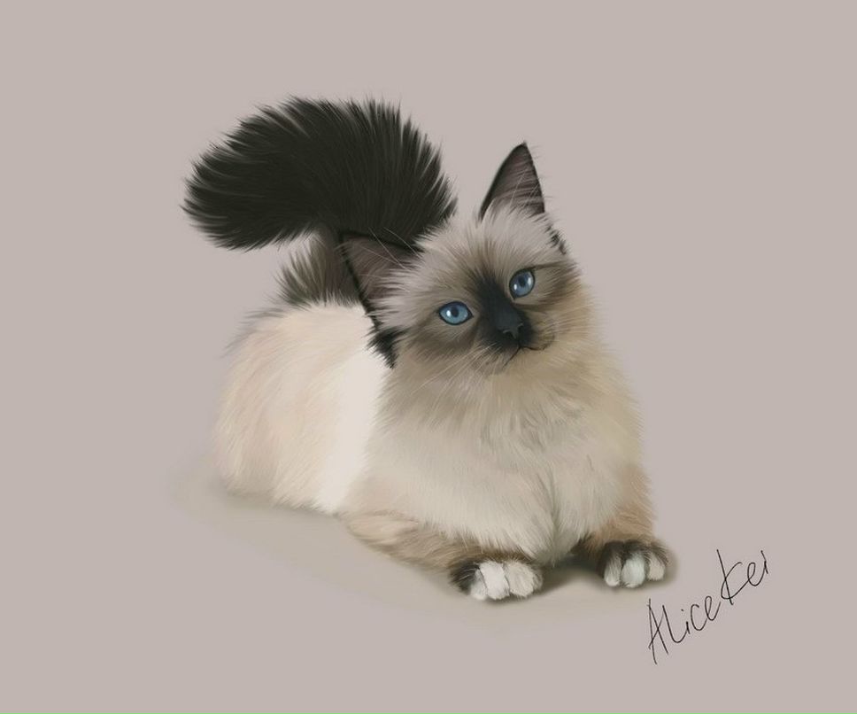 Света Головина | Глазов