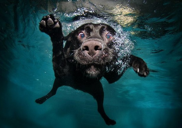 Вячеслав Быстрицкий | Киев