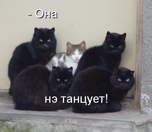 Роман Адмиралов | 