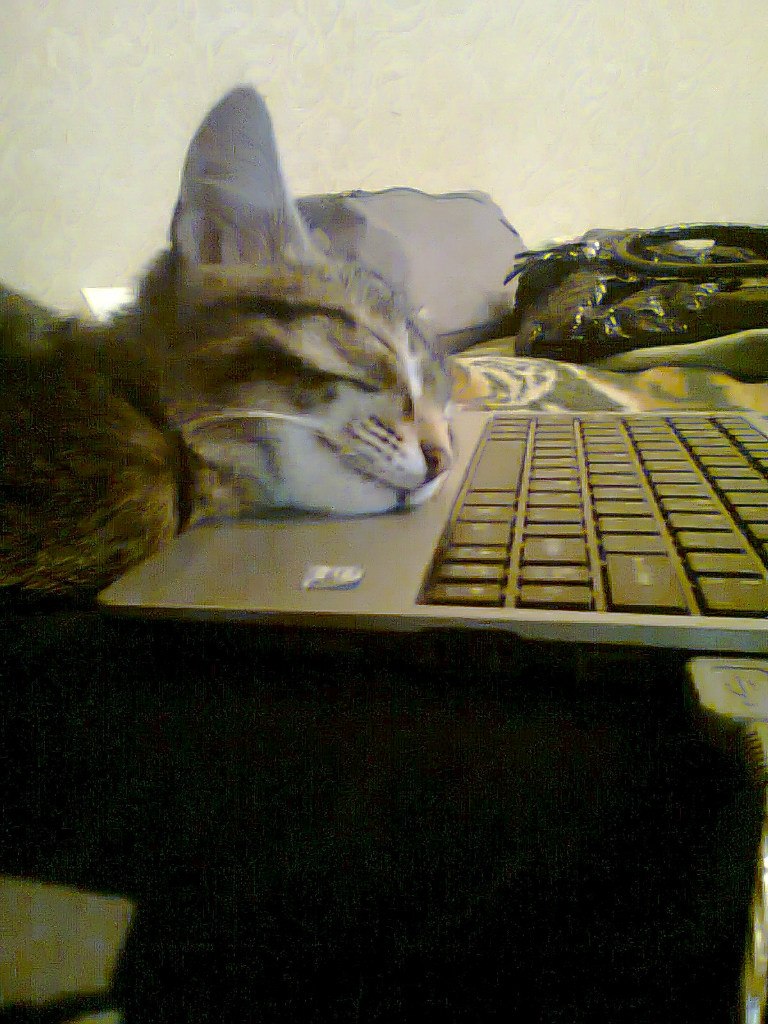 Миляуша Гумерова | Уфа