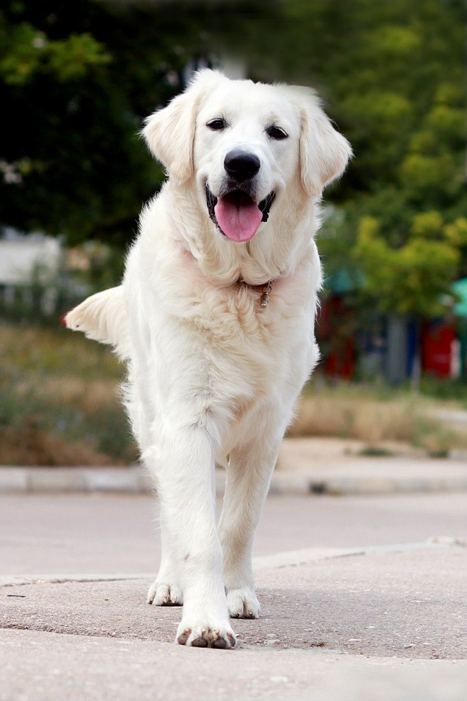 Дарья Земскова | Сызрань