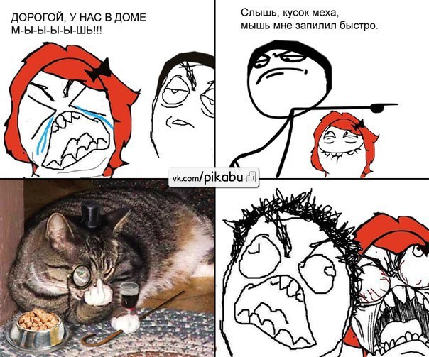 Сергей Жернаков Student | Новокузнецк