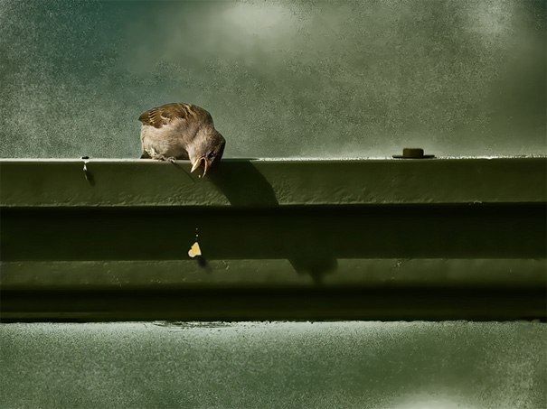 Любовь Соболь | 