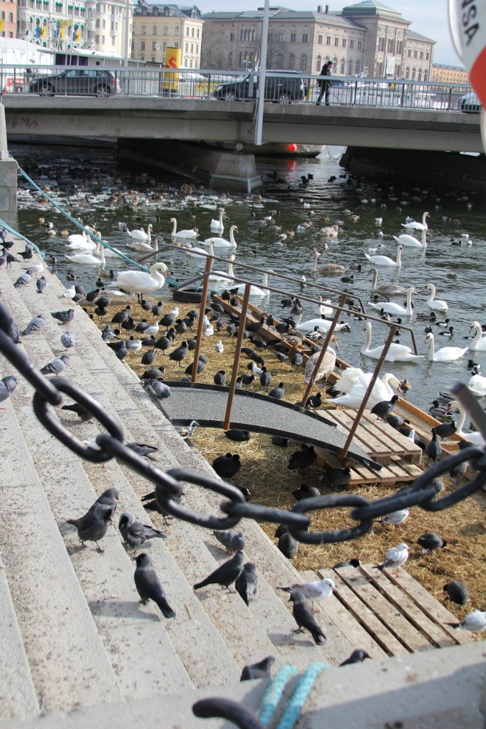 Таня Ляховкина | Санкт-Петербург