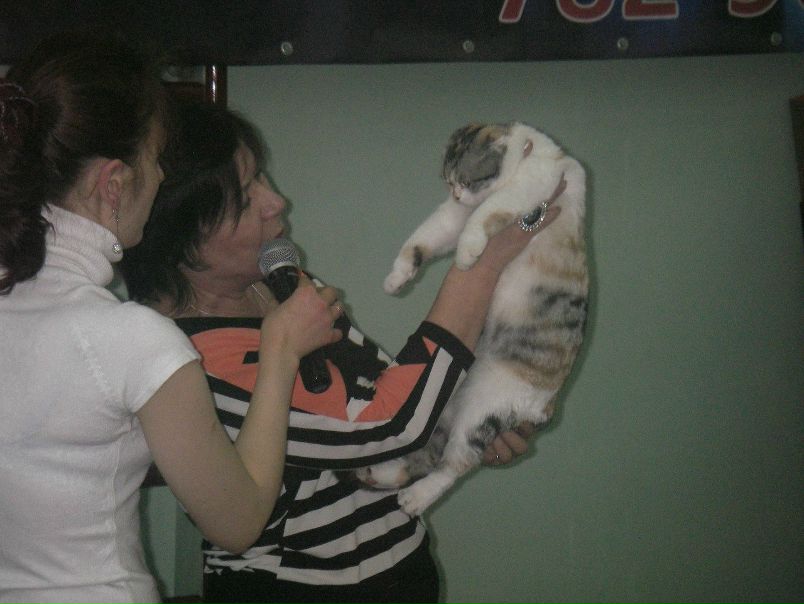 №2, Антон Шемякин, Мурманск №2, Антон Шемякин, Мурманск