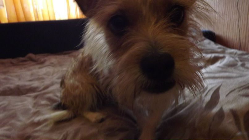 Ксения Федорова | Санкт-Петербург