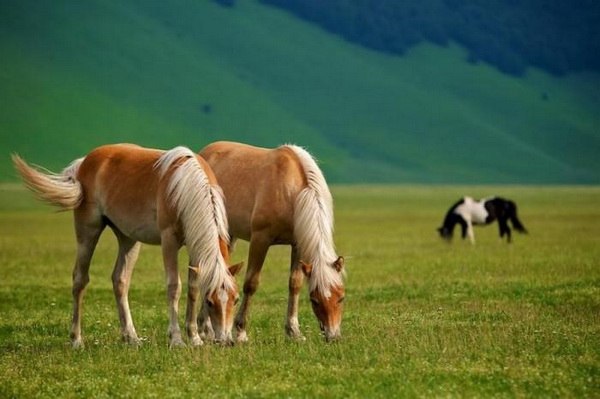 Татьяна Генина | Москва