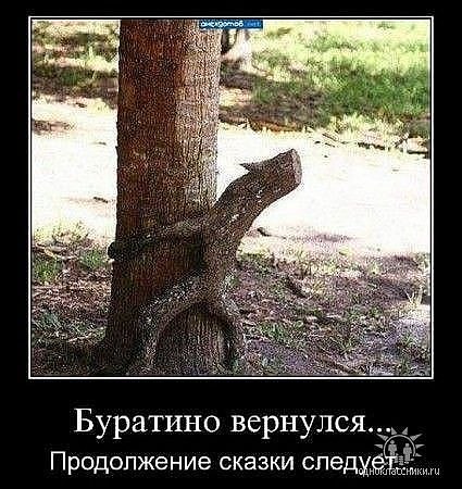 №127, Даша Джум, 35 лет №127, Даша Джум, 35 лет