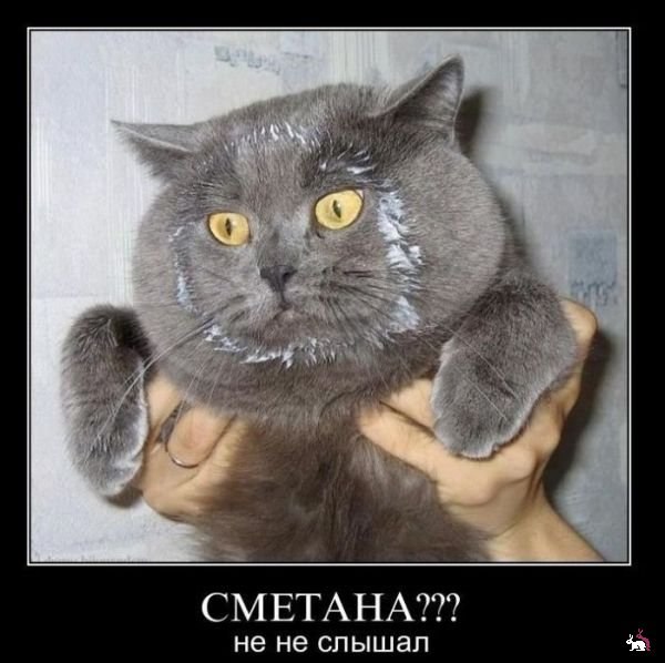 Алексей Храпутский | 