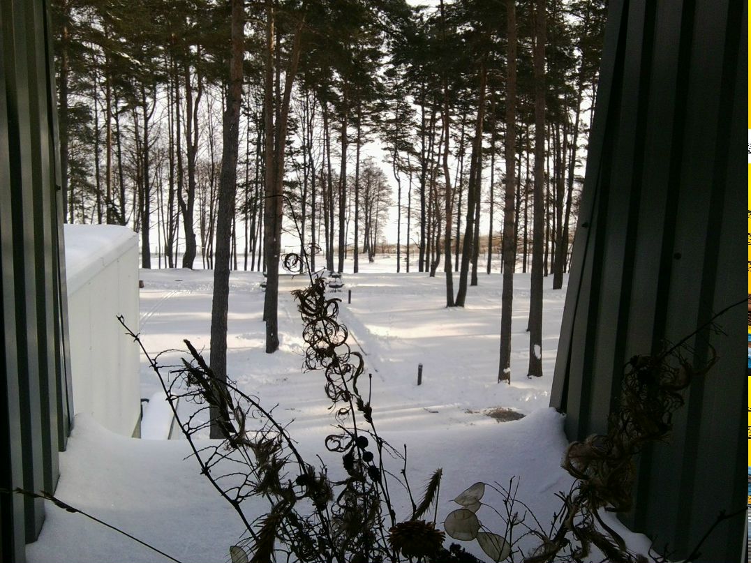 Инга Бородина | 