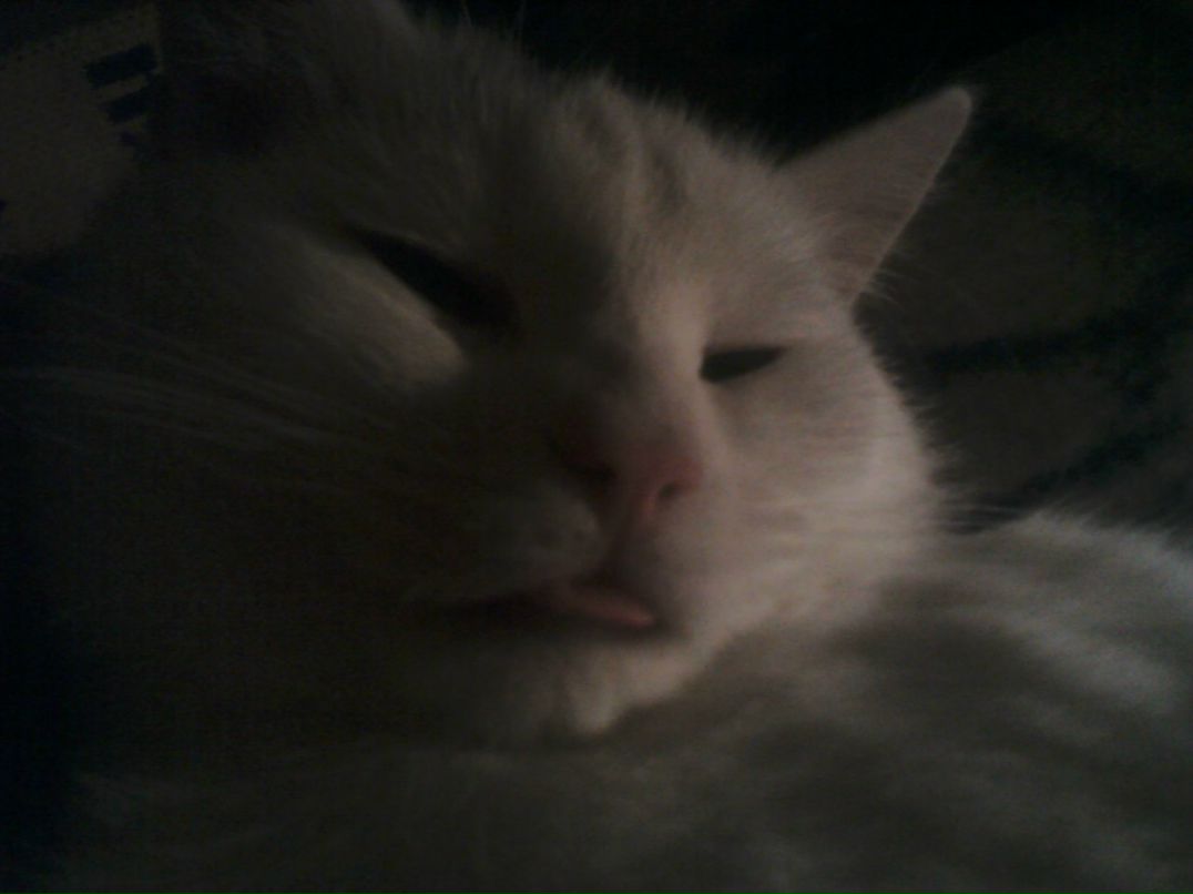 Юлия Рябинина | Кириши