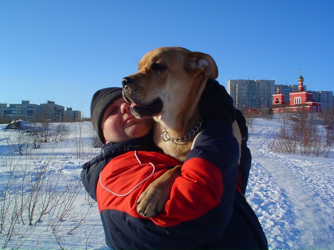 Юрий Войналович | Мурманск