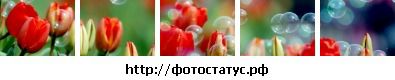 Фотография Алина Демина