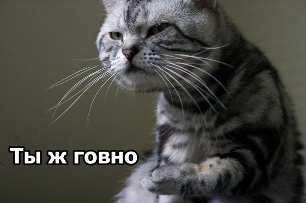 Сергей Серёжевич | Тирасполь