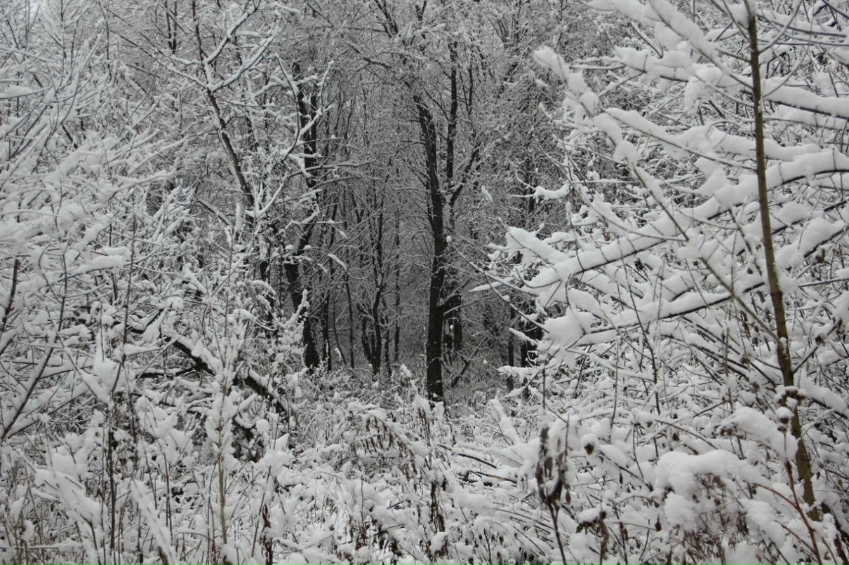 Алексей Федулкин | Новокузнецк