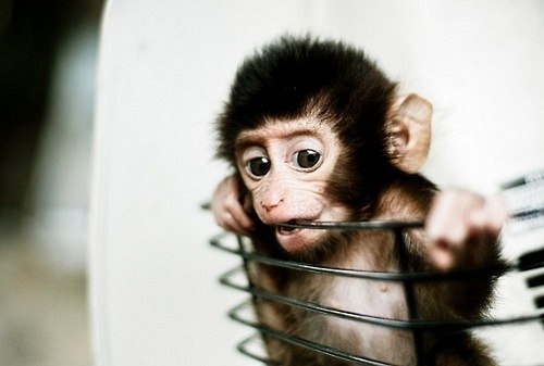 Анастасия Дерябина | Ростов-на-Дону