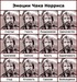 Имар Богдашкович фотография #7