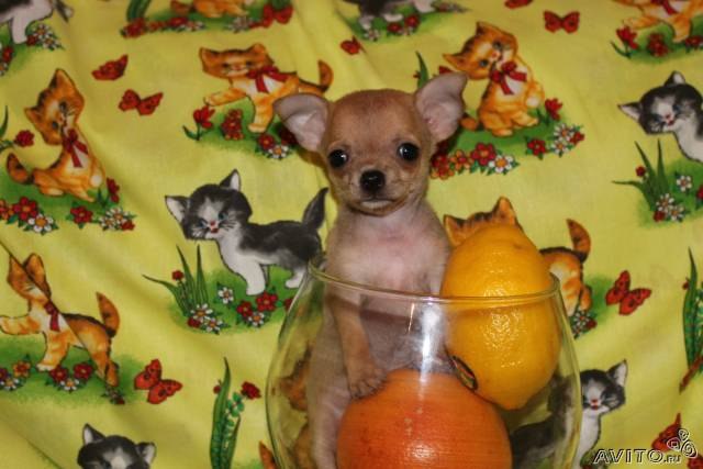 Мария Денисова | Самара