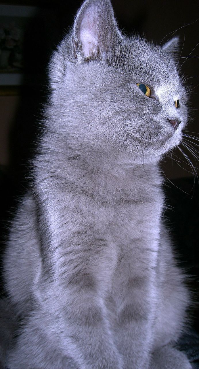 Anton Kitaev | Санкт-Петербург