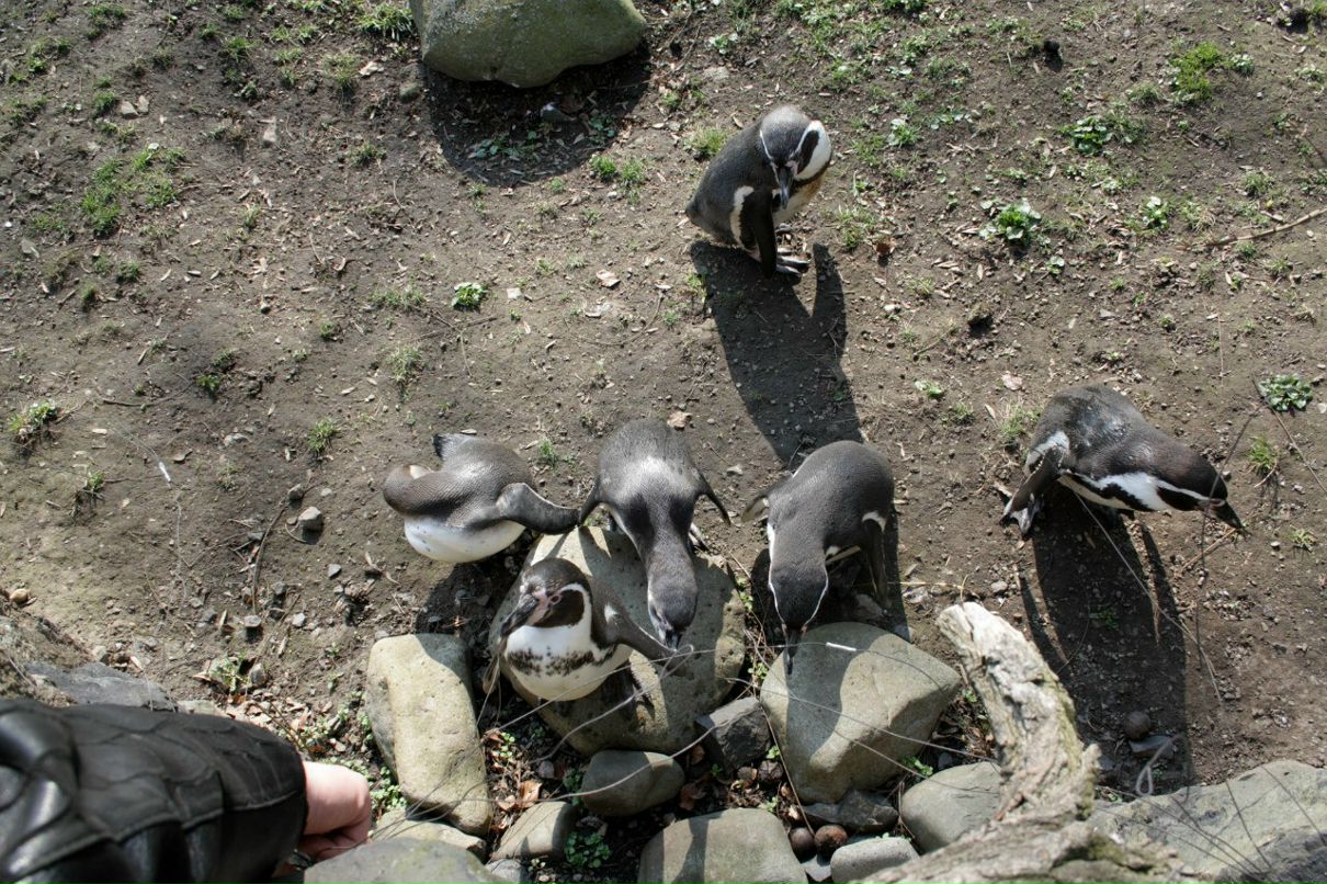 Евгения Прок | Санкт-Петербург