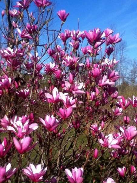 №132, Валя Черныш, 24.08, Grand Rapids №132, Валя Черныш, 24.08, Grand Rapids