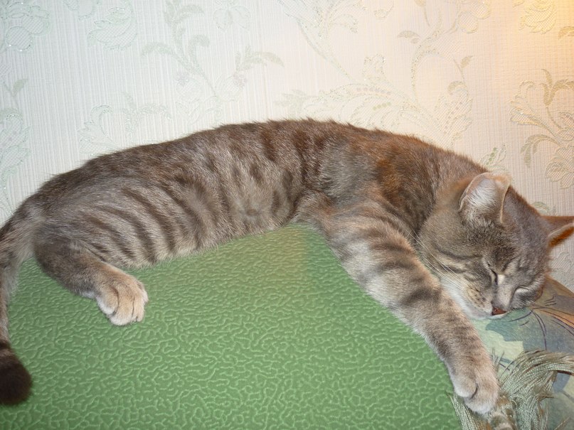 Дмитрий Чорнобай <_MaJIeC_> | Верхний Уфалей