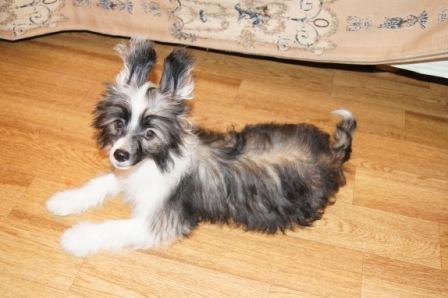 Наталья Ванина (Плигина) | Санкт-Петербург