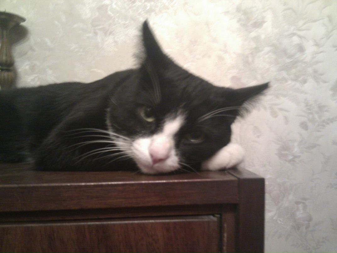 Александр Гончаров | Москва