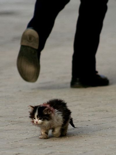 Анастасия Бездудная | Одесса