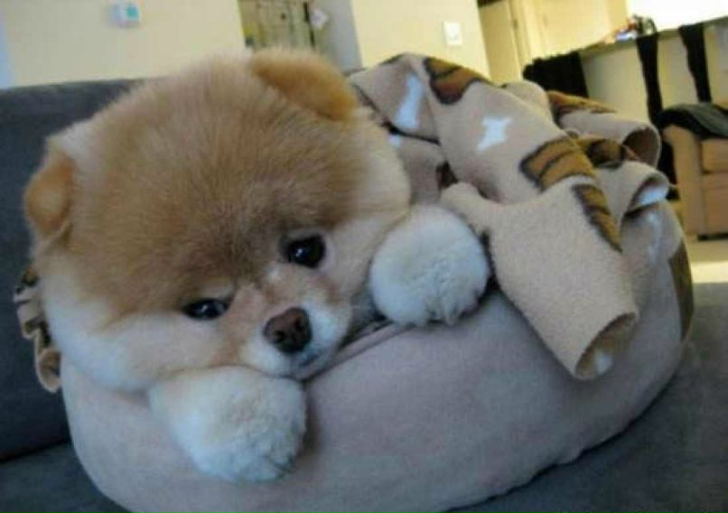 Ми Леди ♥♥♥ | Москва