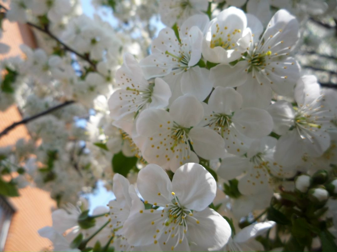 Наташа Повар | Киев