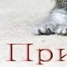 №55, Дарья Шевцова, 27.06.1995, Днепр (Днепропетровск) №55, Дарья Шевцова, 27.06.1995, Днепр (Днепропетровск)