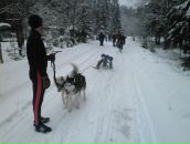 №17 Светлана Ларионова 04.04: профиль, фото, статус - ВКонтакте