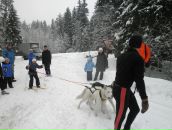 №10 Светлана Ларионова 04.04: профиль, фото, статус - ВКонтакте