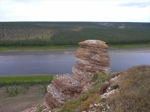 Синильга Линно | Дудино