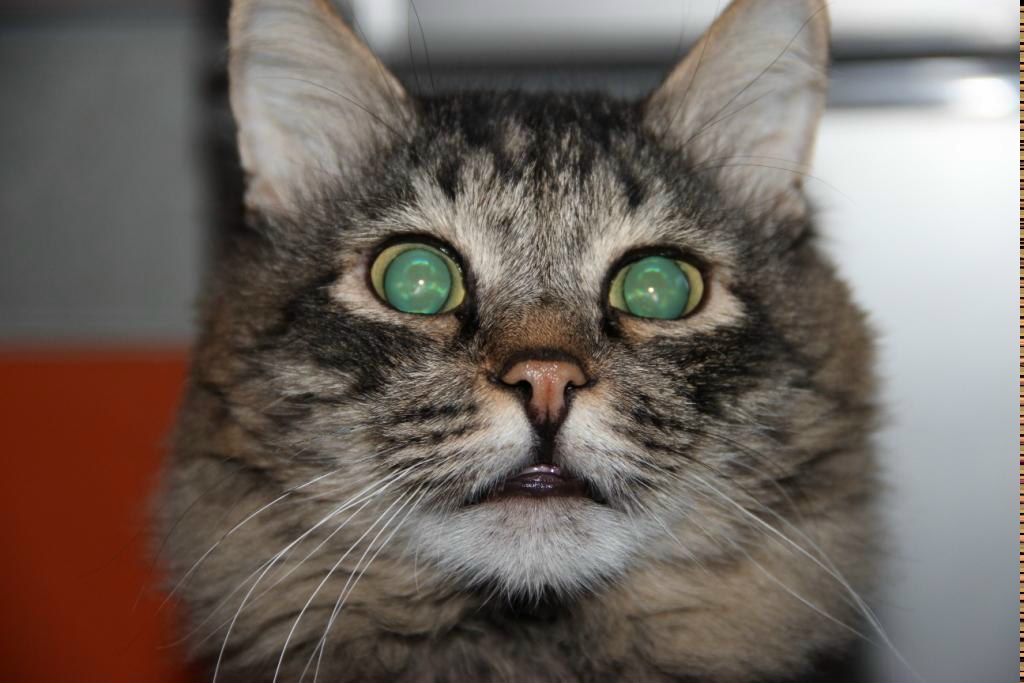 Svyatoslav Khan | Павлодар