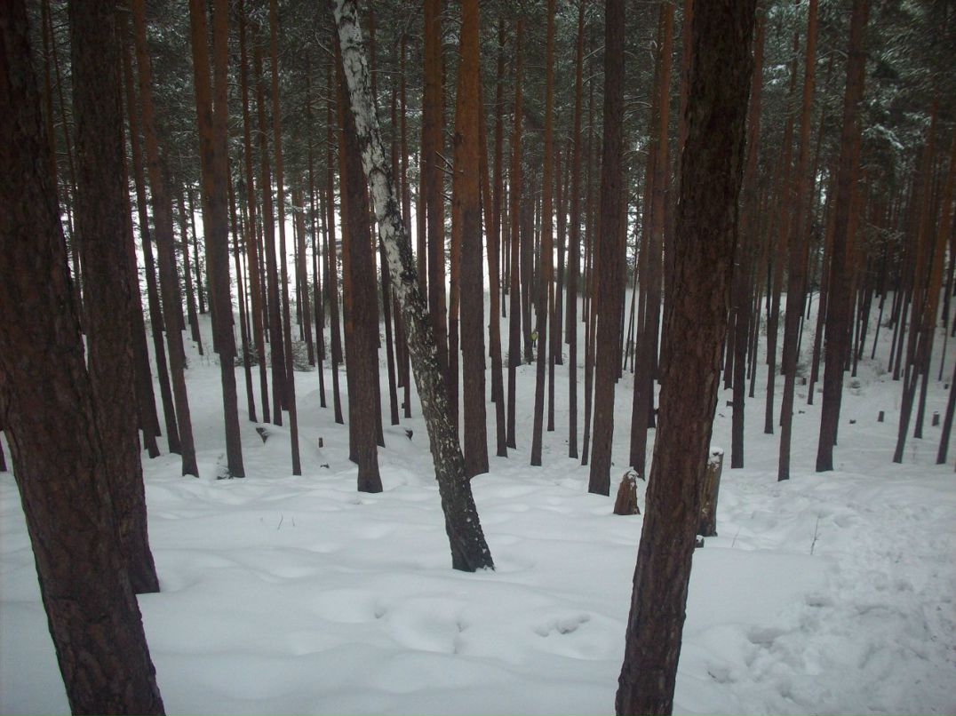Василий Кузнецов | Екатеринбург