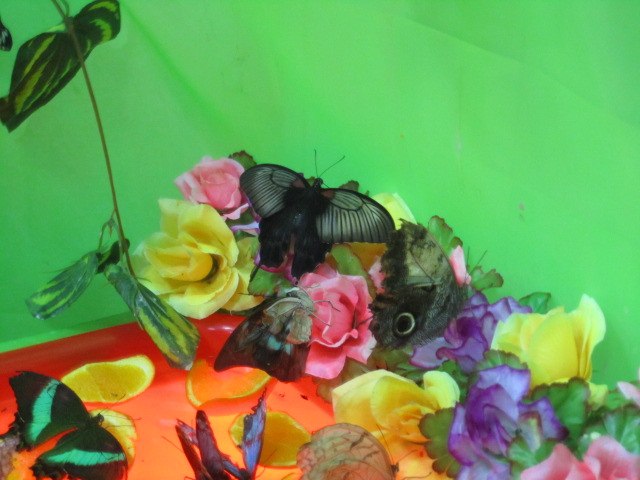 Оксана Архипова | Набережные Челны