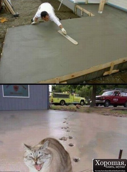 Джавад Искендеров | Донецк