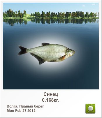 Сергей Сусойкин | Рязань