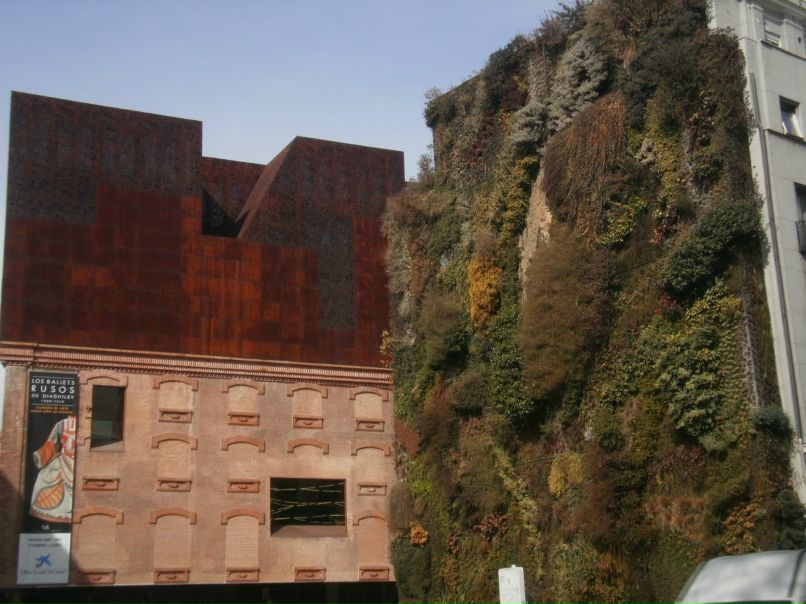 Саида Золина | Санкт-Петербург