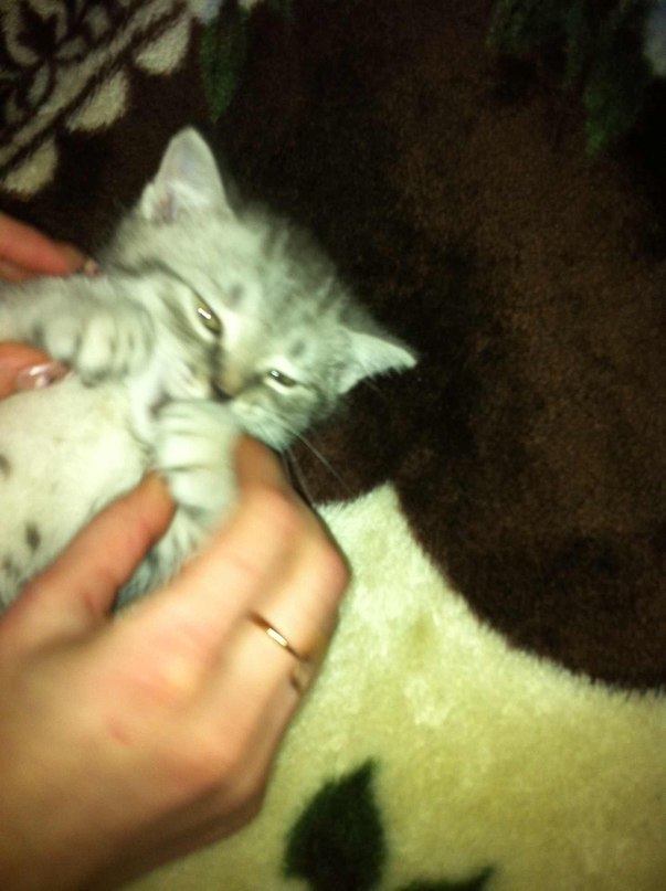 Ольга Макарова | Мурманск