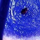 №99, Юля Илюшина, Los Angeles №99, Юля Илюшина, Los Angeles