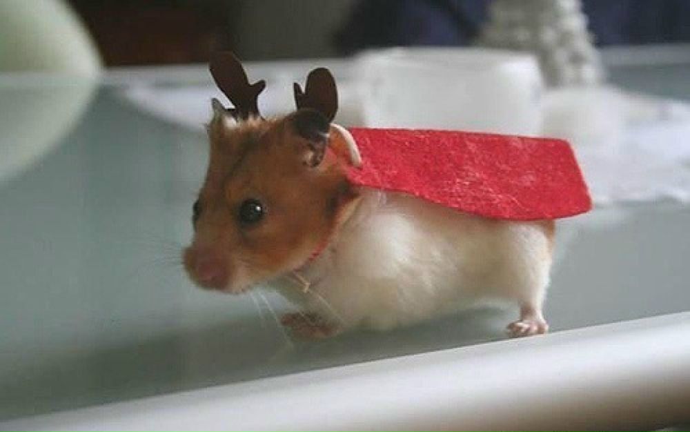 Meruert Taishanova miss MIRA | Астана / Нур-Султан